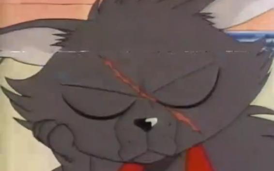 《森林好小子》第二十一集-精彩部分