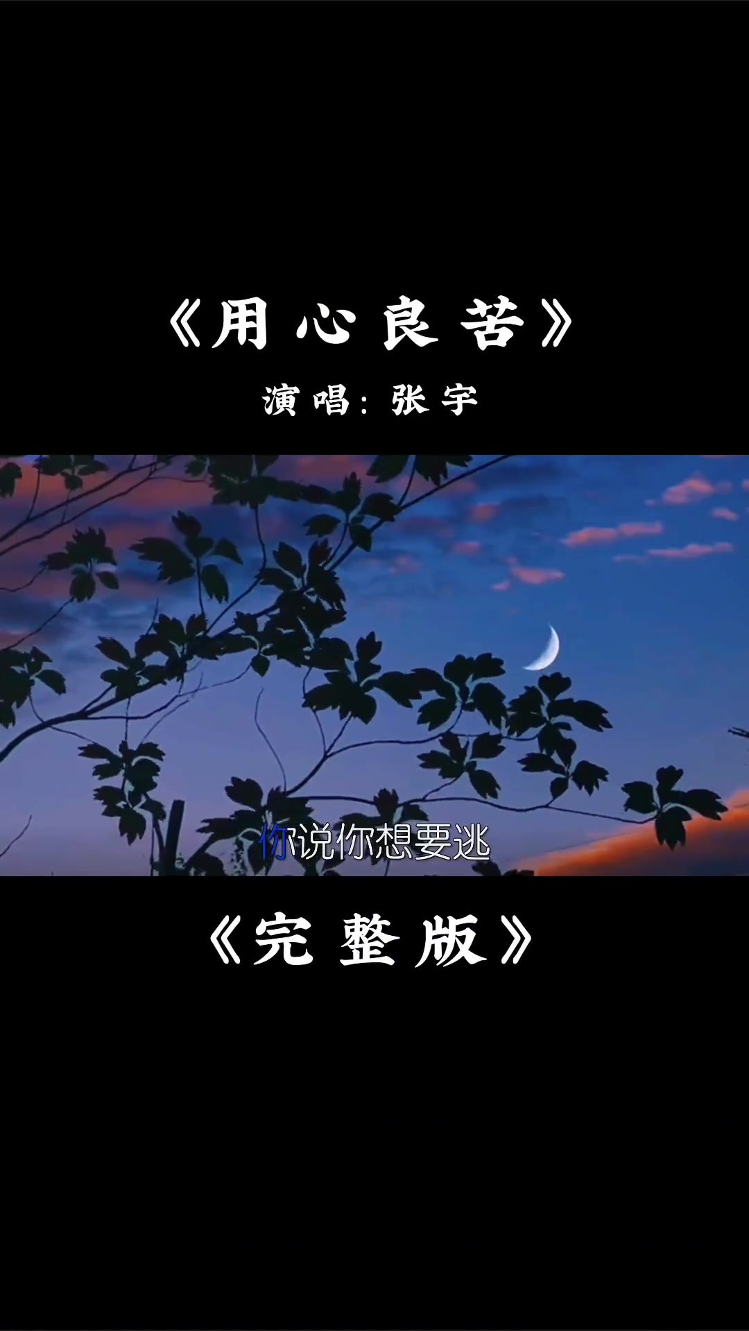 张宇的用心良苦完整版歌曲伤感凄美百听不厌用心良苦张宇经典老歌