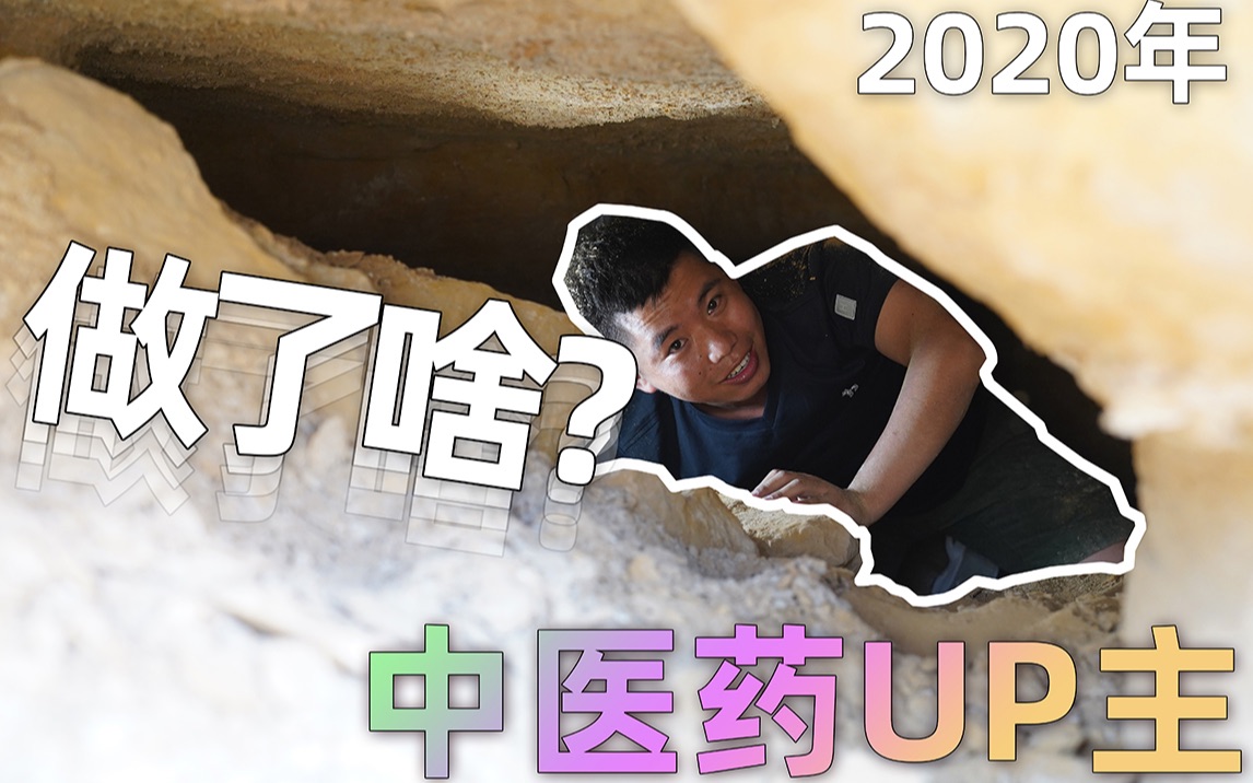 [图]2020年中医药UP主都做了什么？