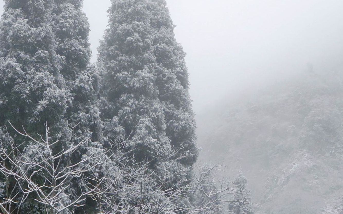 离成都2小时就能玩雪的目的地 | 彭州九峰山哔哩哔哩bilibili