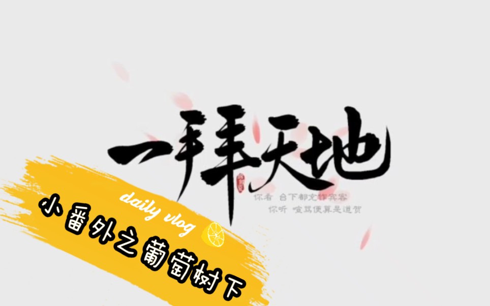 『一拜天地』小番外之葡萄树下哔哩哔哩bilibili