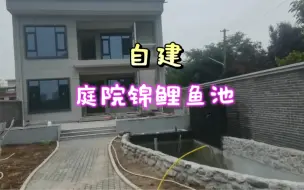 Download Video: 自建20吨锦鲤鱼池，历时7个月终于完工，6仓过滤效果好