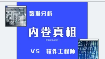 数据分析vs软件工程师｜行业内卷给你安排得明明白白