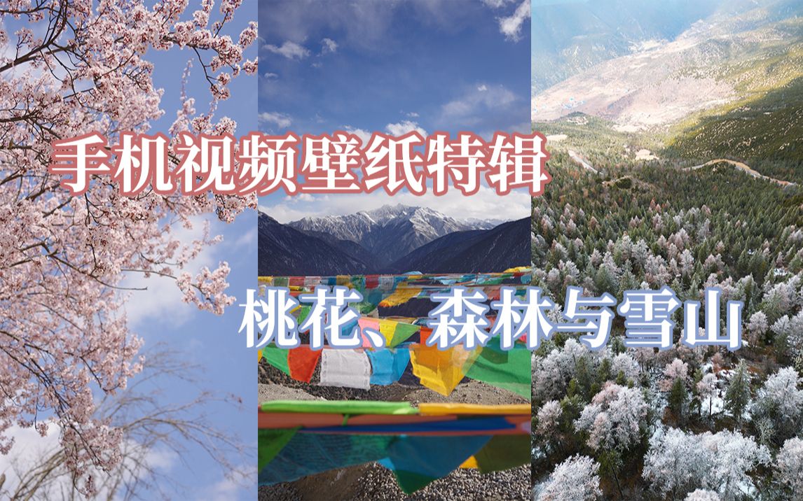 手机视频壁纸特辑:桃花、森林与雪山哔哩哔哩bilibili