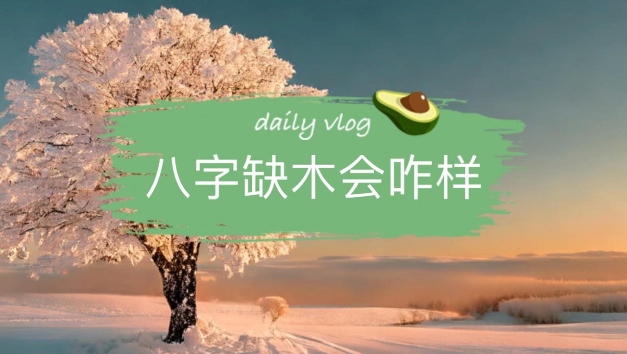 缺五行的补救方法——木篇哔哩哔哩bilibili