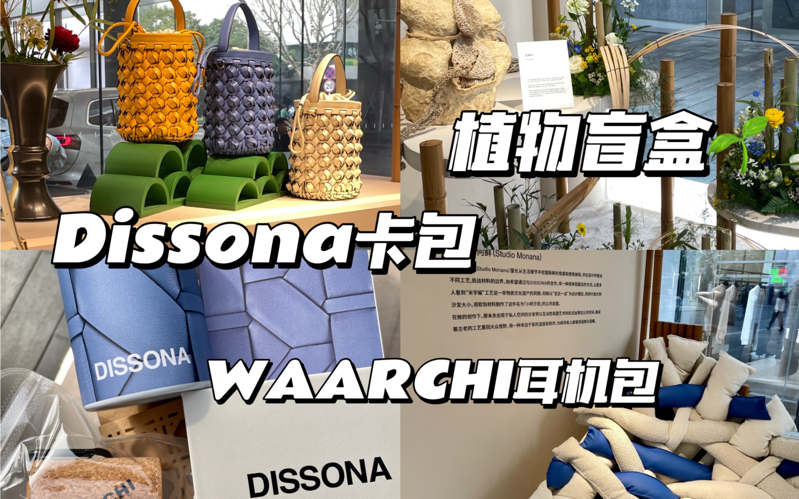 逛展还可以免费拿卡包和植物盲盒?深圳万象天地快闪:Dissona织就新序哔哩哔哩bilibili