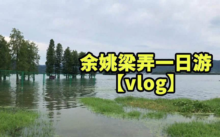 【vlog】余姚梁弄一日游哔哩哔哩bilibili