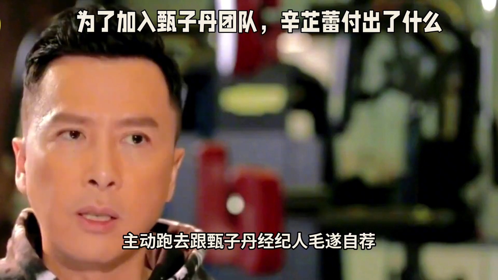 娱乐大爆料#为了加入甄子丹团战,辛芷蕾付出了什么