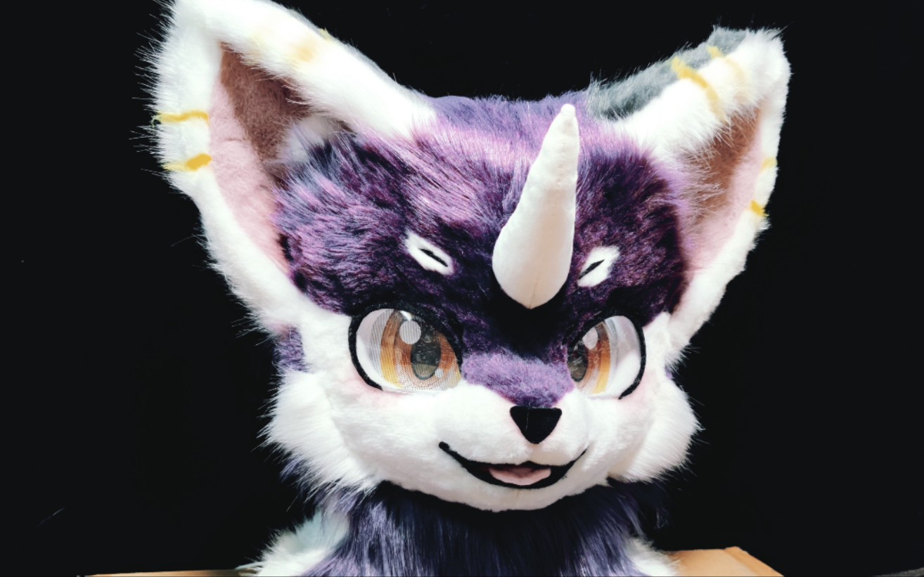 赤轮头头兽装fursuit罗比