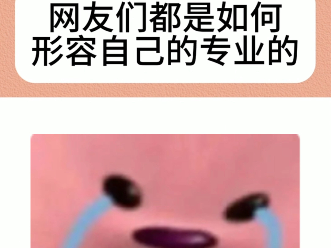 网友们都是如何形容自己的专业的哔哩哔哩bilibili