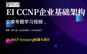 Download Video: 交换专题课24-DHCP Snooping配置与演示-EI CCIE考试WOLFLAB杨广成