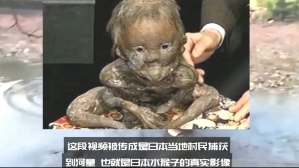 惊奇一目 河童 无法解释的现象