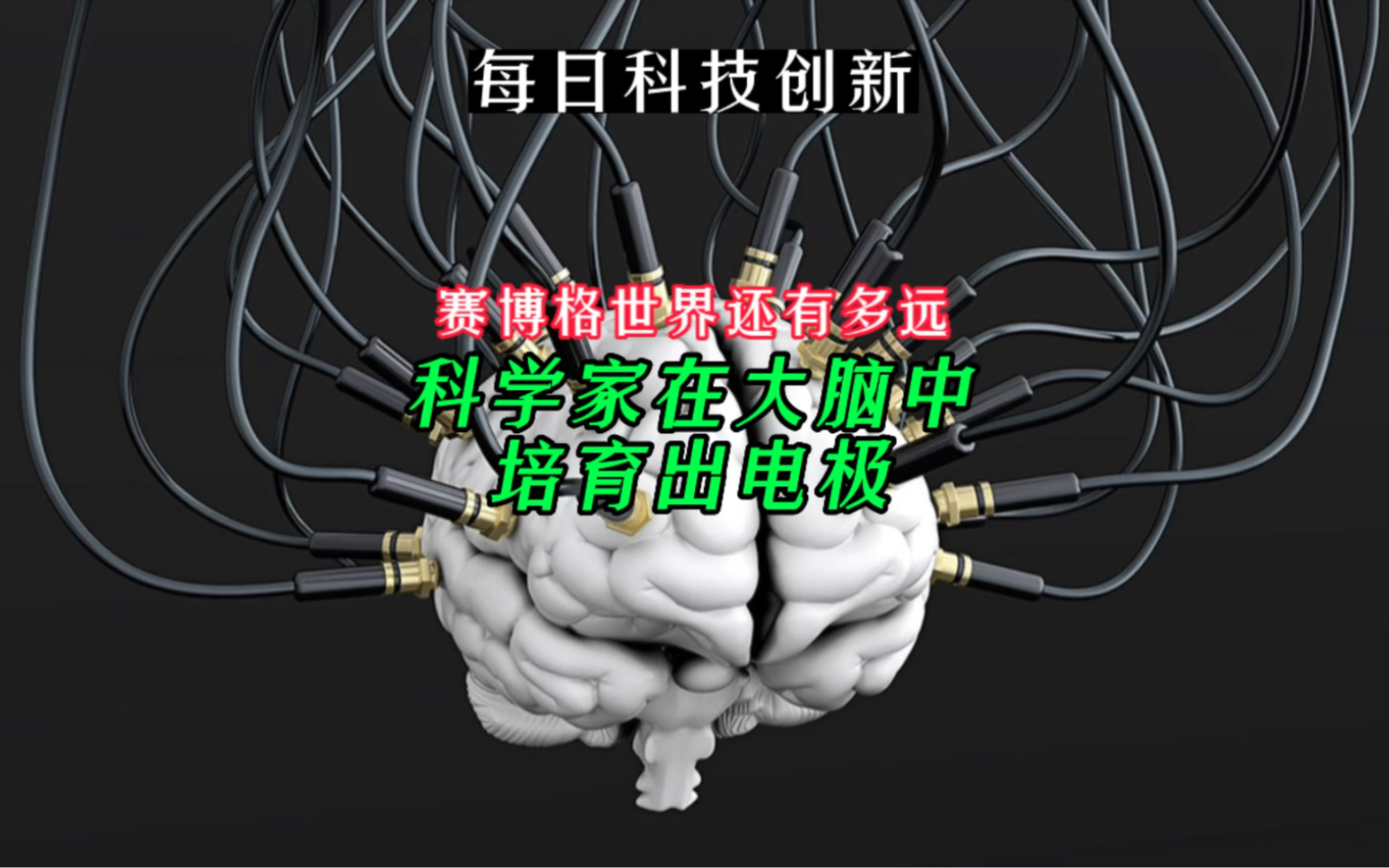 【每日科技创新】赛博格世界还有多远?科学家在大脑中培育出电极哔哩哔哩bilibili