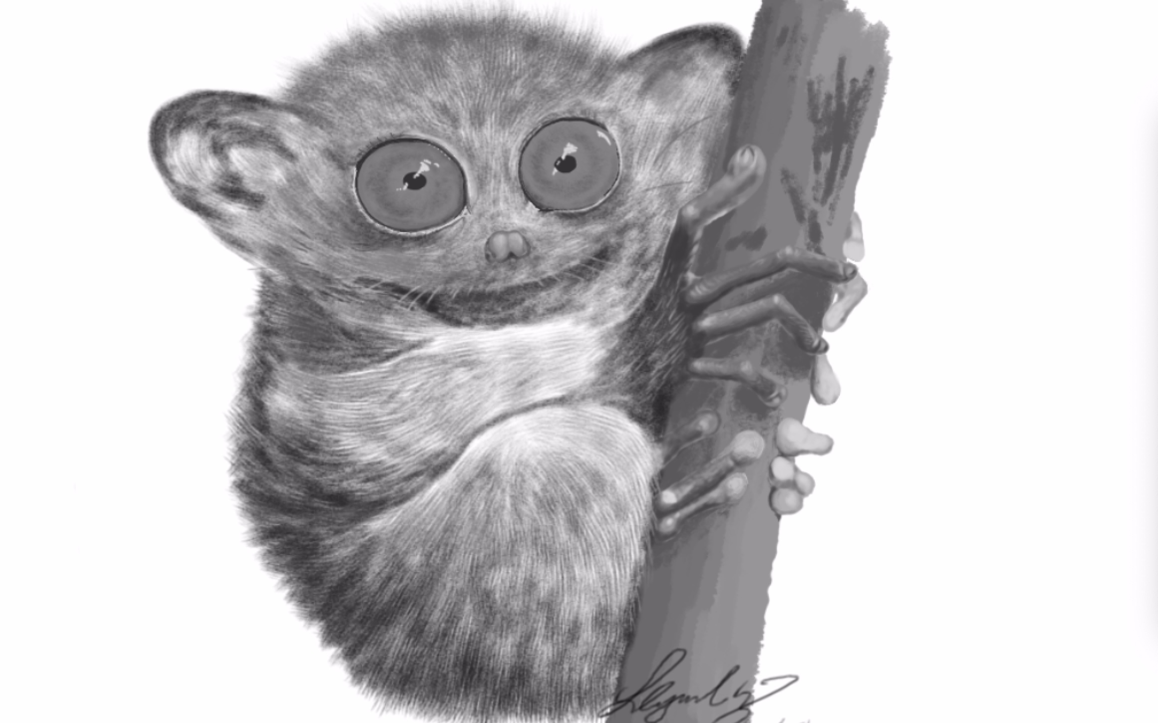 【king努力练习/绘画】眼镜猴