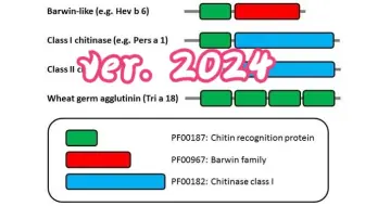 使用pfam进行基因家族鉴定【生物信息学】