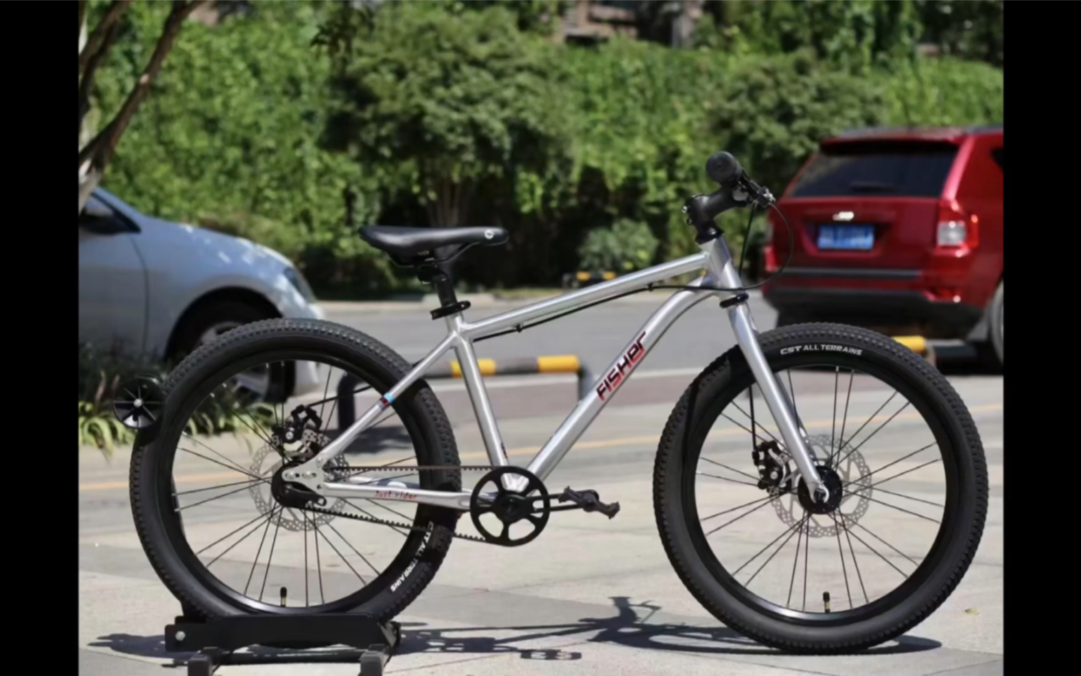 德国品质——飞鱼牌儿童自行车