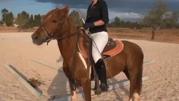 黑色长靴小姐姐骑马驯马,体力真好,马术水平也高