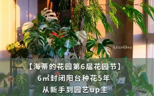 Download Video: 6㎡封闭阳台种花5年，从新手到园艺up主