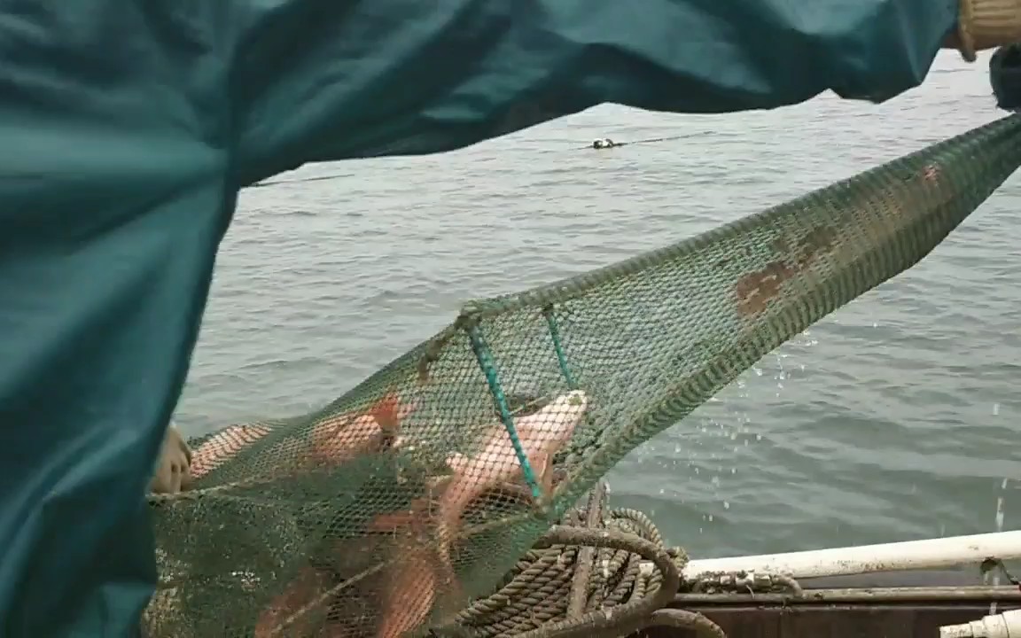 小伙六百包船出海抓鱼都抓蒙圈了,船主都后悔死了 这次赚死了哔哩哔哩bilibili