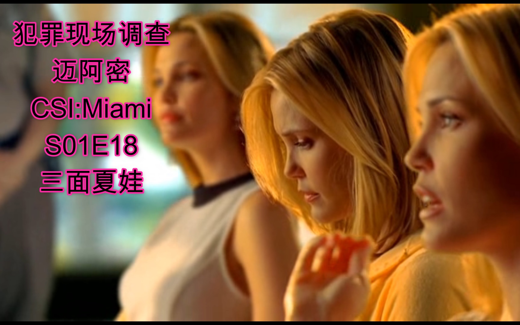 【犯罪现场调查:迈阿密】CSI:Miami S05E18 三面夏娃 为家产三胞胎台前亮相台后杀人百般用计; 怕刺杀狡兔男躲幕后用替身最终人财两得.哔哩哔哩...