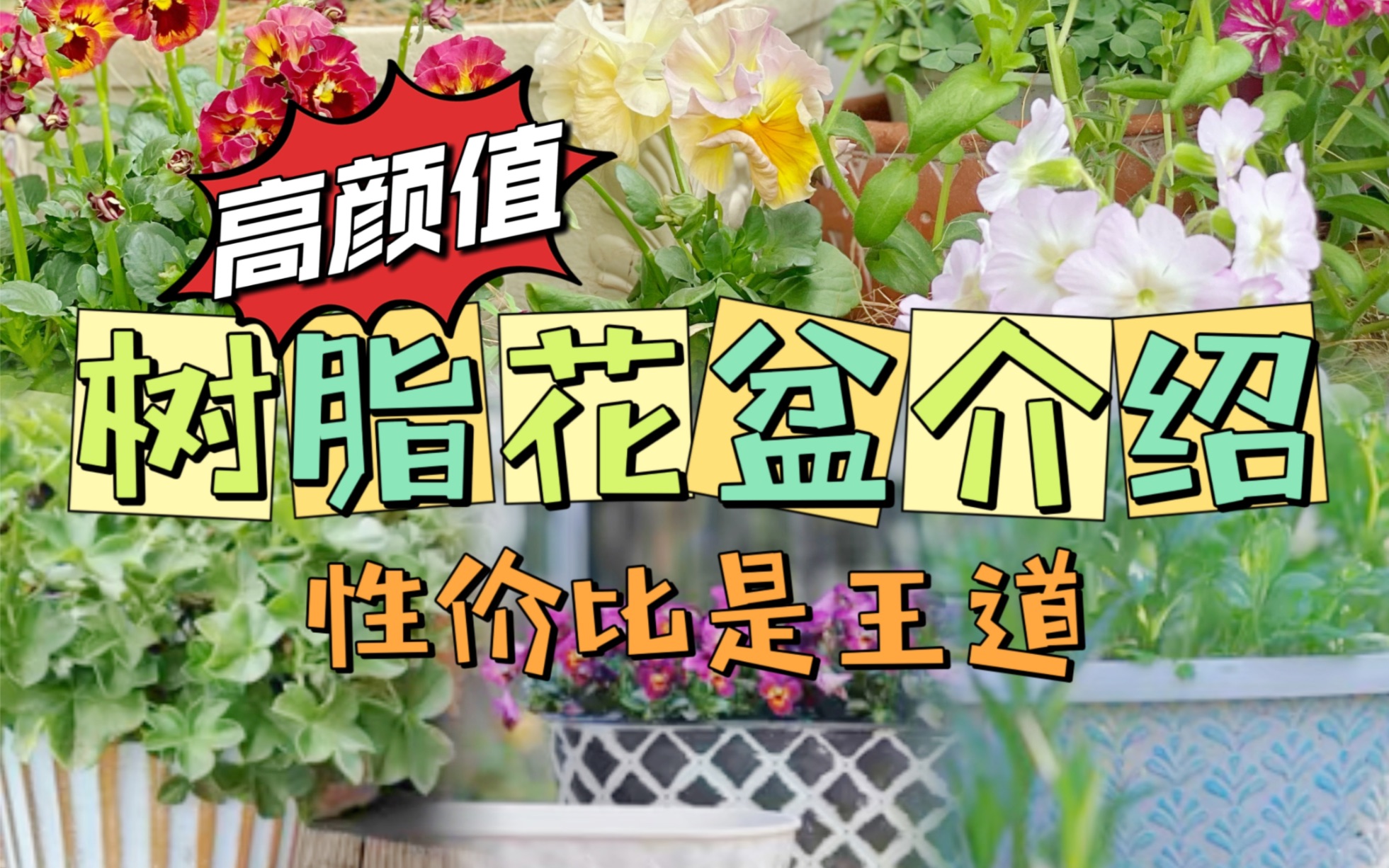 看看我的树脂花盆吧~哔哩哔哩bilibili