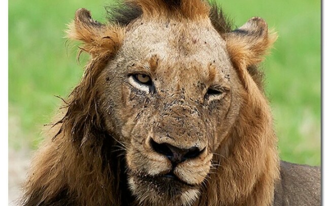 坏男孩t先生过河_哔哩哔哩_bilibili