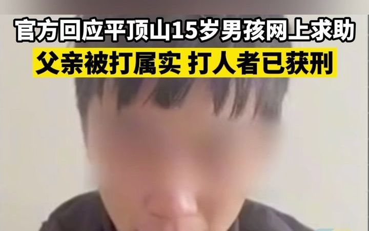 官方回应平顶山15岁男孩网上求助:刘某锟父亲被打属实 打人者已获刑哔哩哔哩bilibili