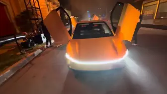 下载视频: 特斯拉特斯拉robotaxi 第一次驾驶体验