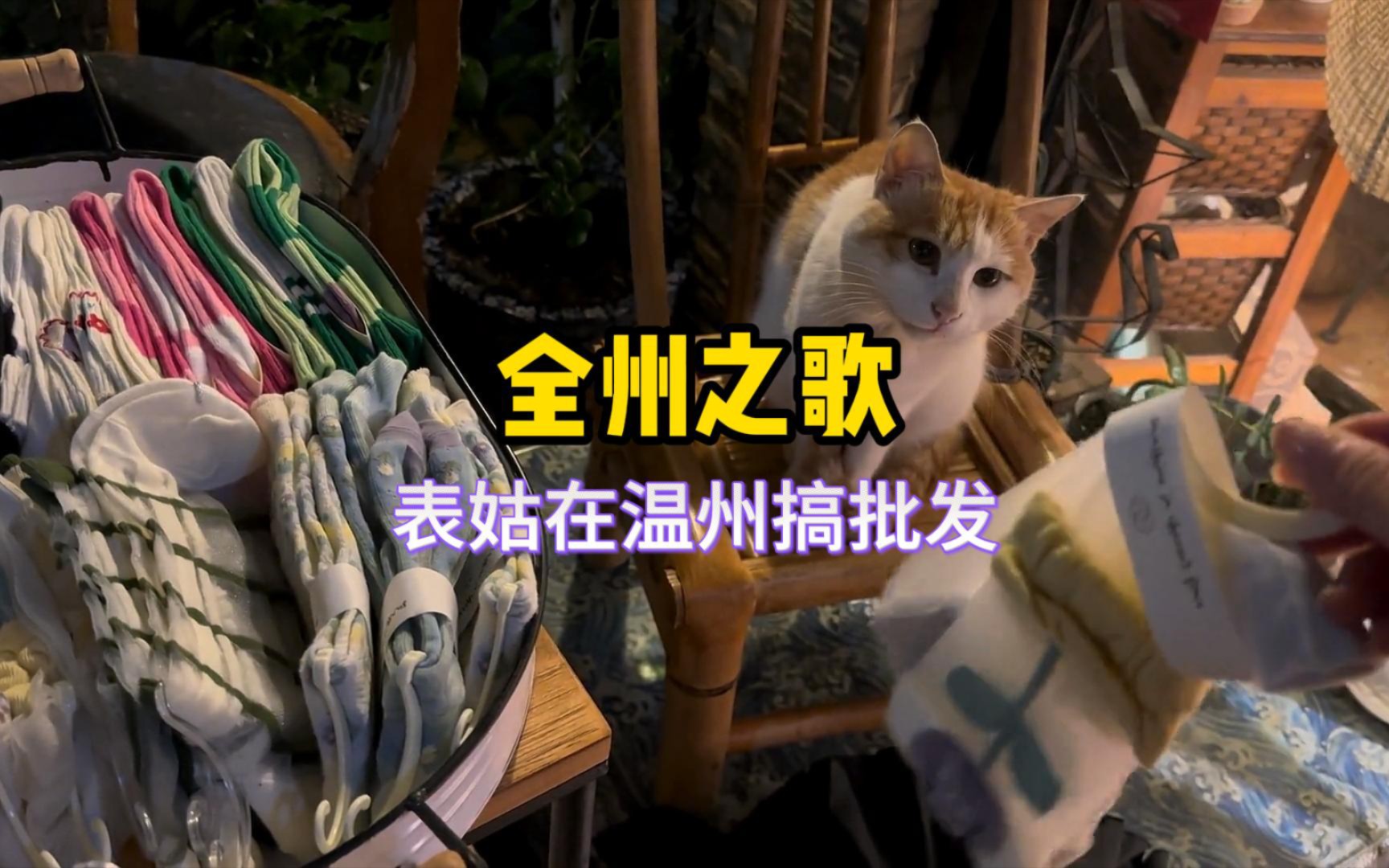 [图]《全州之歌》猫咪版，你在哪个州呢？