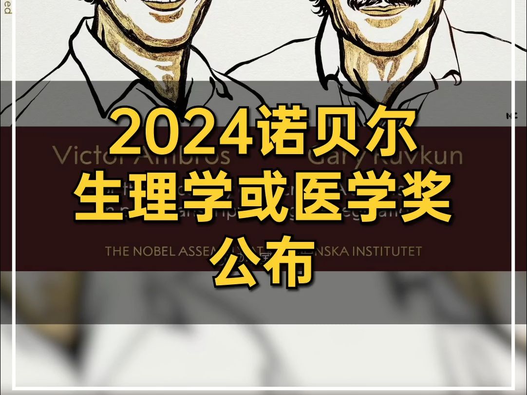 2024年诺贝尔生理学或医学奖公布哔哩哔哩bilibili