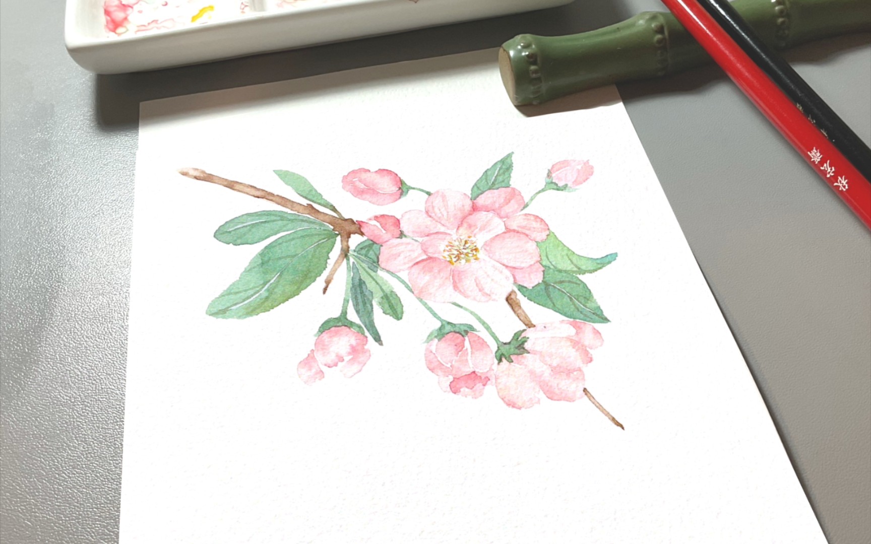 【水彩】一枝海棠花