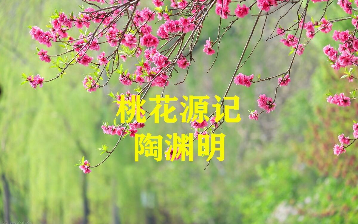 诗词欣赏 《桃花源记》陶渊明哔哩哔哩bilibili