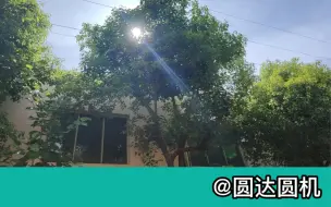 Скачать видео: 夏天 烈日 赶生产