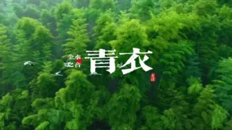 Download Video: 『五音疗疾』宣肺气强肾气，宁心净脑，缓解疲劳，平心静气，养元贮能，学习压力大，头晕脑胀，昏沉迷糊，乏力疲劳可多听用《青衣》