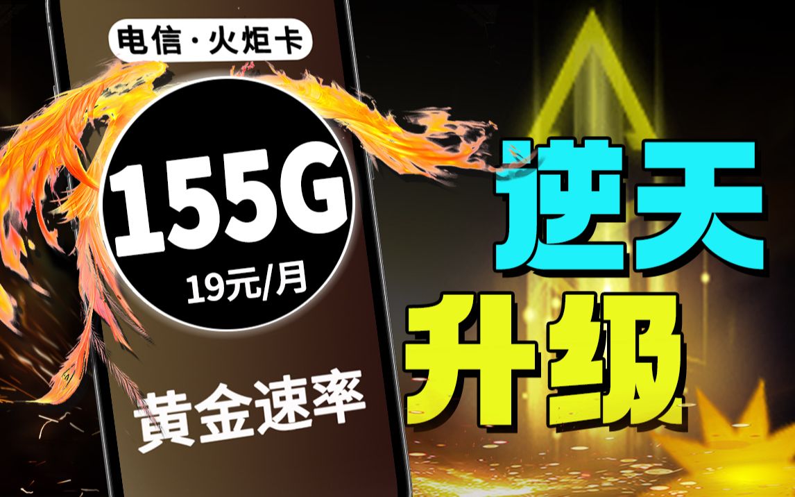 纯流量卡如此豪横???【电信火炬卡】19元+210G+黄金速率+20年有效期哔哩哔哩bilibili