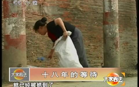 [图]《大家看法》20101124 十八年的等待