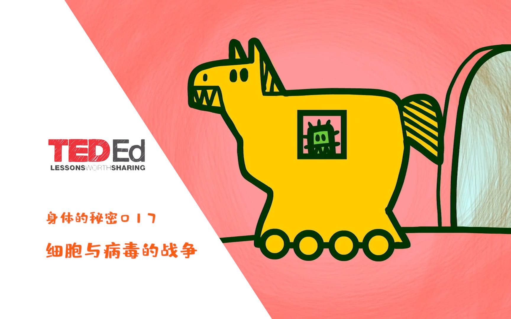 [图]【中英双语】【TED-Ed身体的秘密】017细胞与病毒的战争