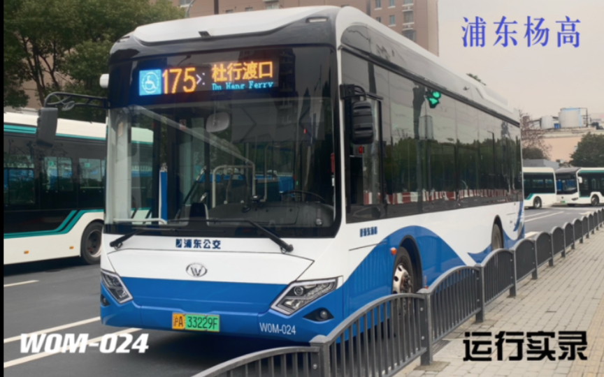 上海公交车 新车图片