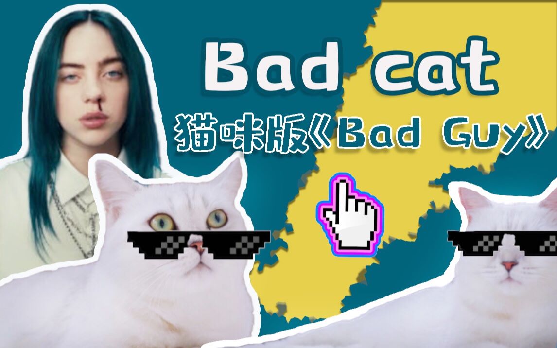 存之沙雕貓咪版badguy做你的badcat送給所有鏟屎官魔性演繹碧梨單曲做