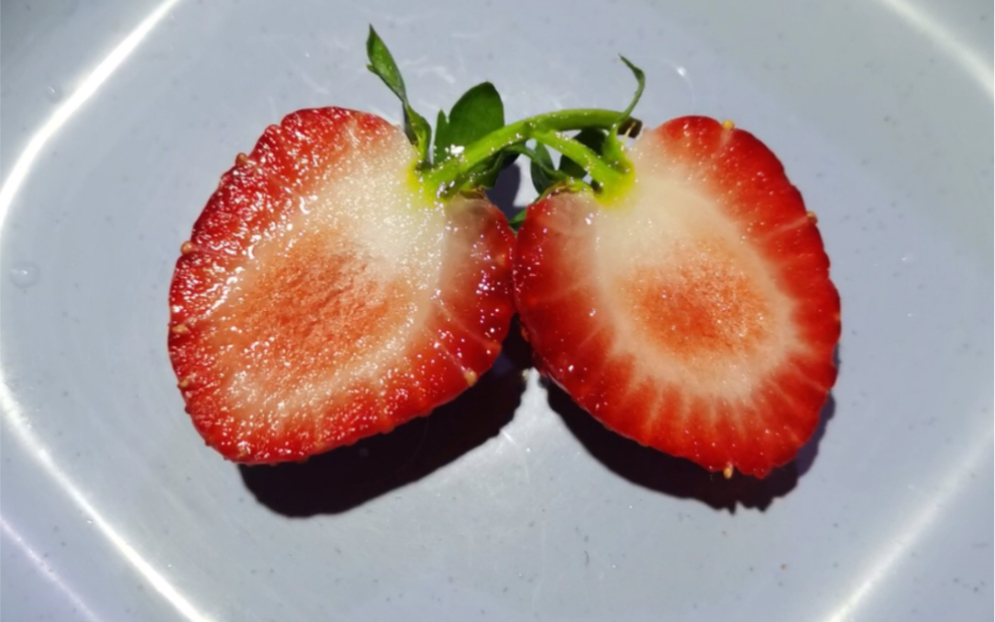 玄玉草莓首果成熟 天台种的各种瓜果._哔哩哔哩_bilibili