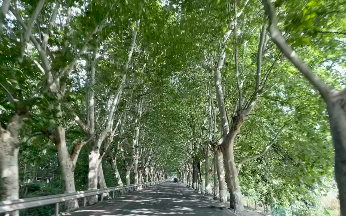 一年光景又过半啦