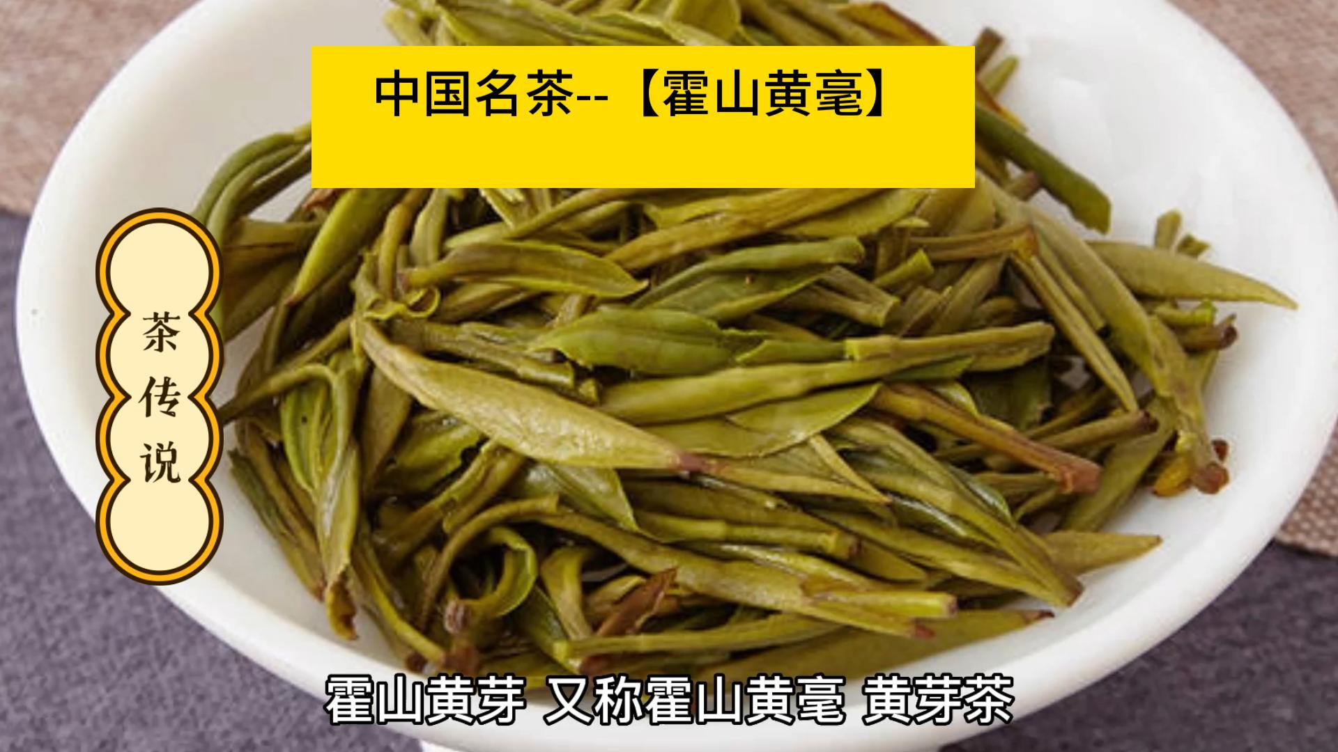 中国名茶【霍山黄毫】 霍山黄毫具有独特的芽叶形态、鲜明的黄色和深厚的花果香味哔哩哔哩bilibili