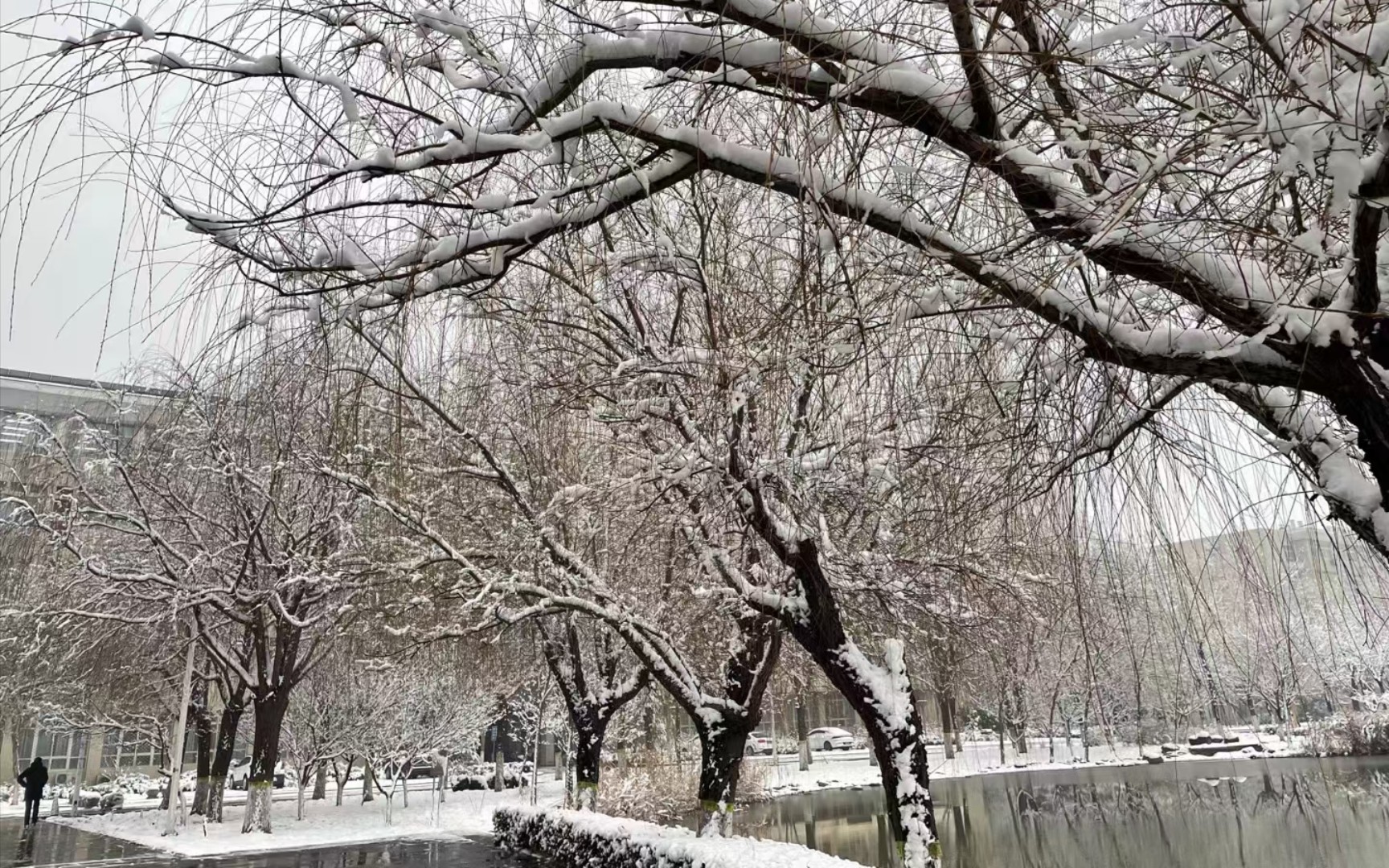 河南工业大学的冬日雪后美丽景色哔哩哔哩bilibili