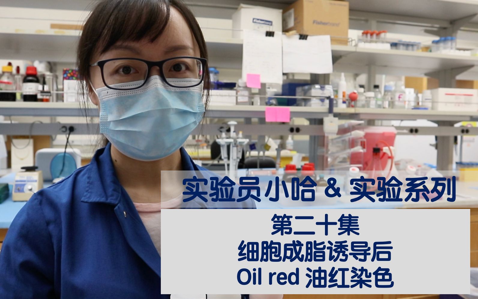 实验员小哈&实验系列  第二十集  细胞成脂诱导后Oil red 油红染色哔哩哔哩bilibili