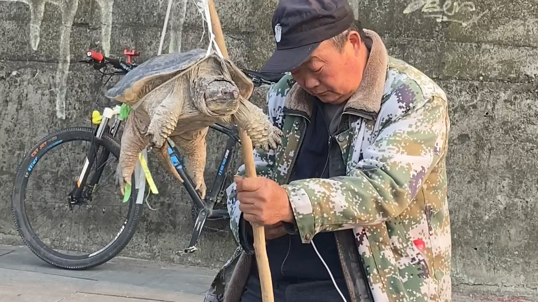 大爷路边吊乌龟是啥意思?_哔哩哔哩_bilibili
