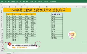 Download Video: Excel中通过数据透视表提取不重复名单