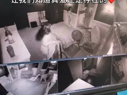 Télécharger la video: 抱起女朋友就跑