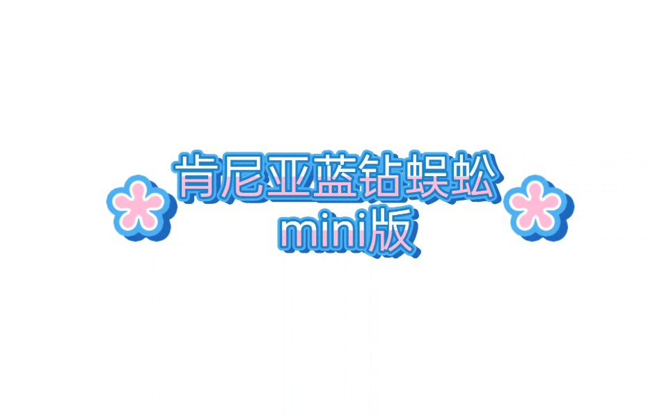 肯尼亚蓝钻腿蜈蚣mini版