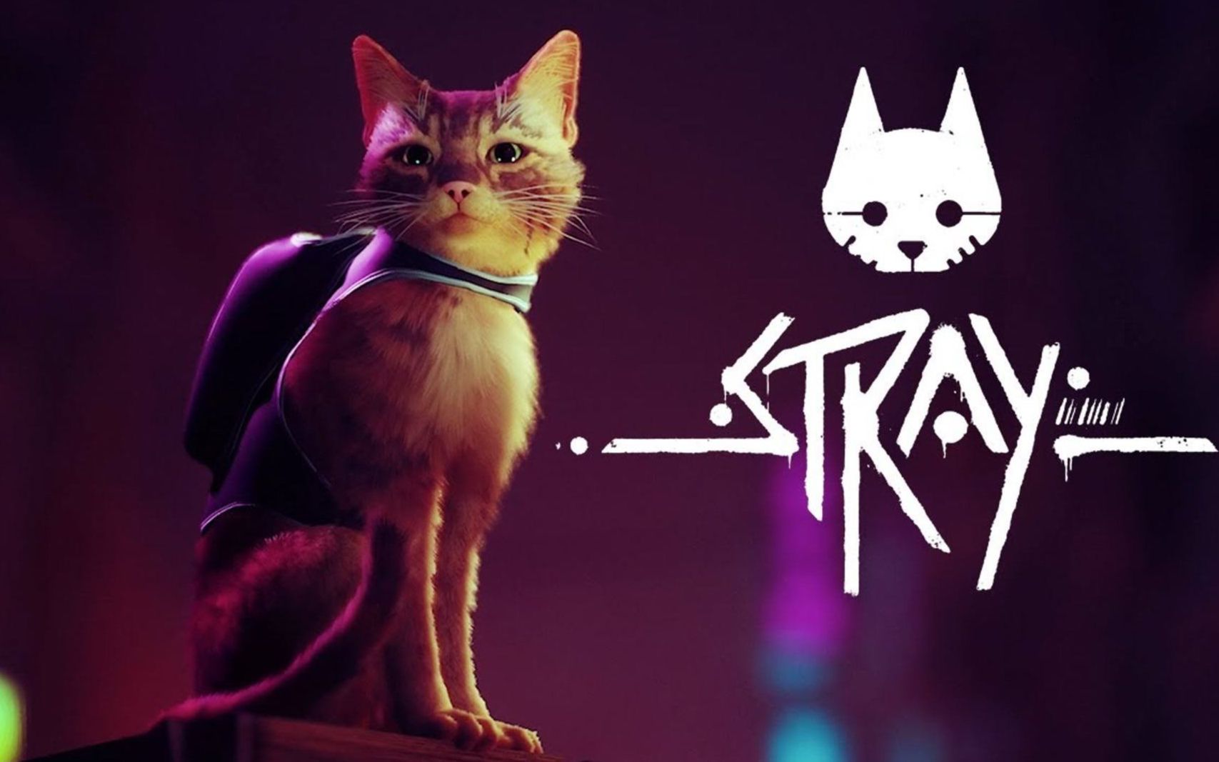 [图]【Mizu】吾辈是猫 实况录像 STRAY