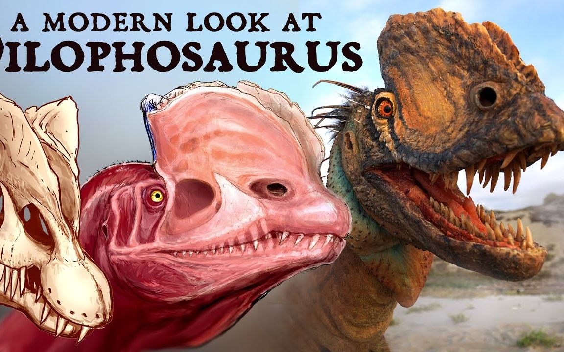 一个现代看双嵴龙 A Modern Look at Dilophosaurus 英字生肉哔哩哔哩bilibili